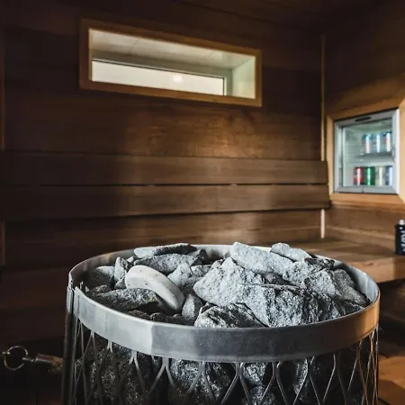 Villa Finland- Himos Palace *